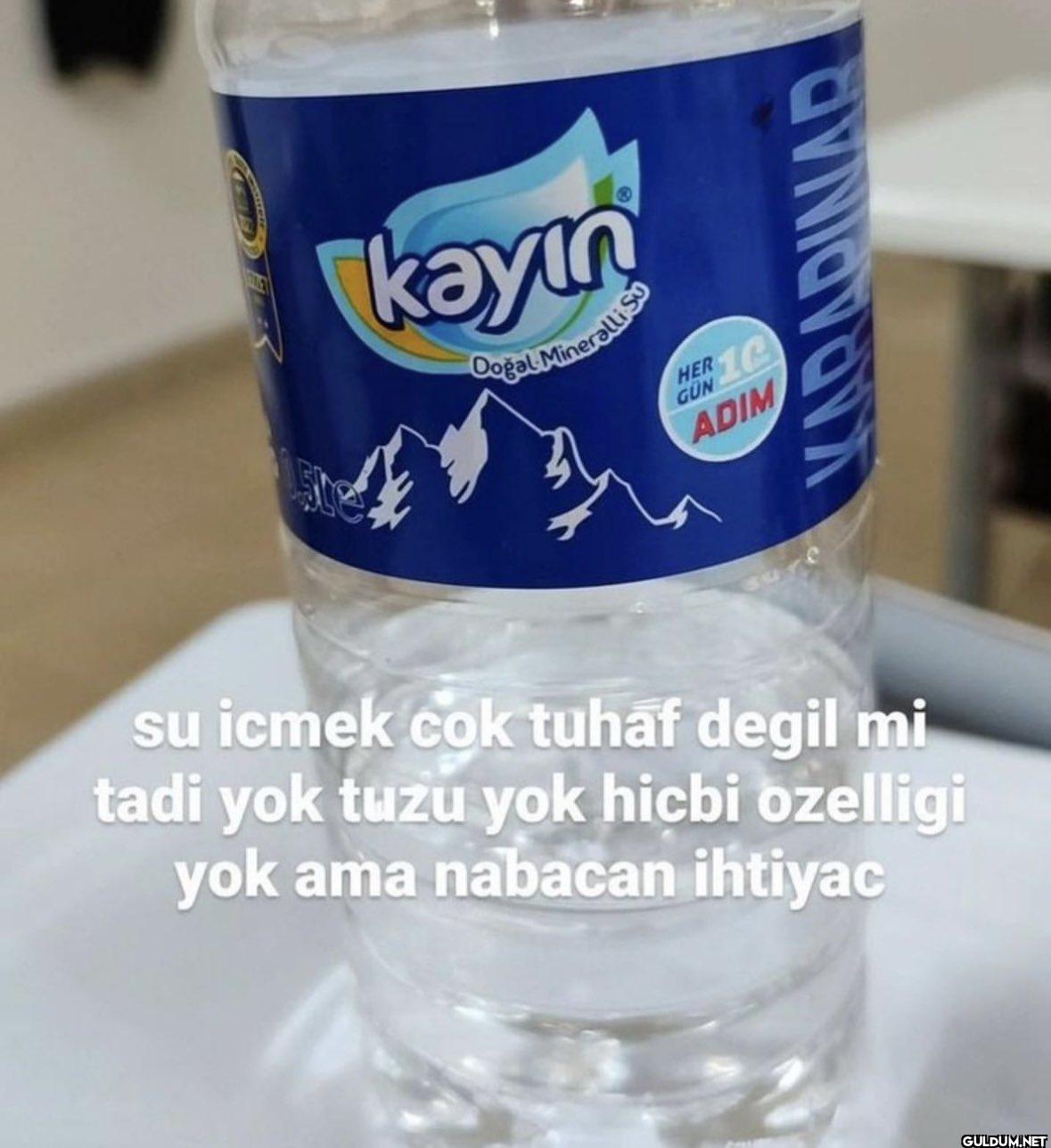 kayin Doğal Mineralli So...