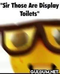 Sir Those Are Display Toilets