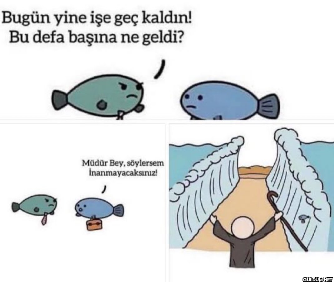 Kızıldeniz yar      Bugün...