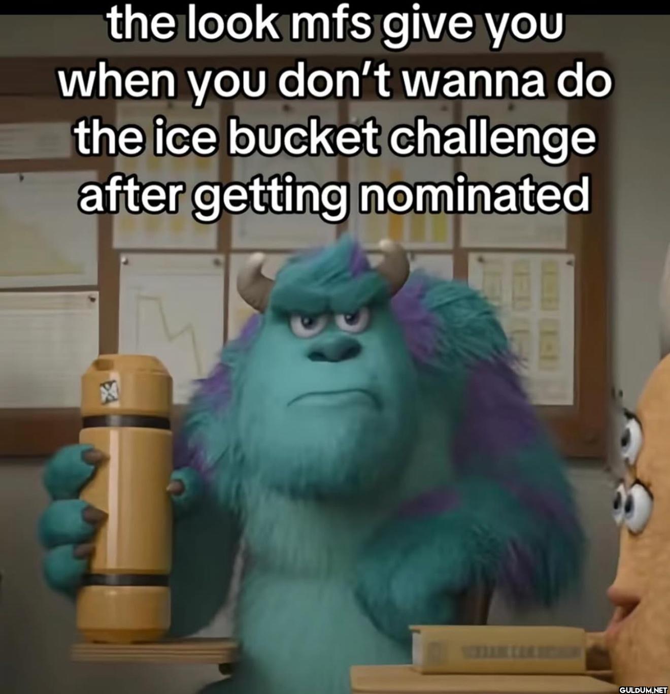 the look mfs give you when...