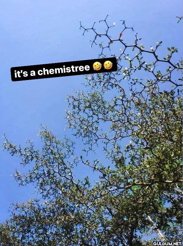 it's a chemistree