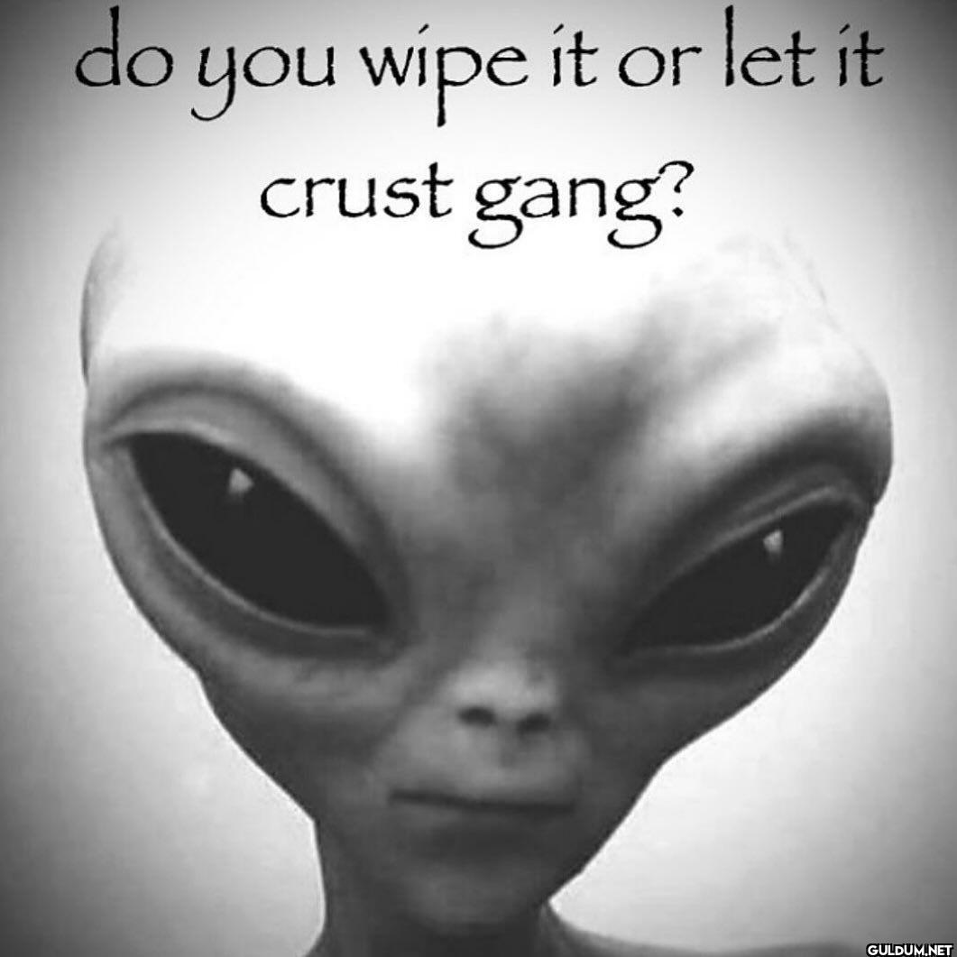 do you wipe it or let it...