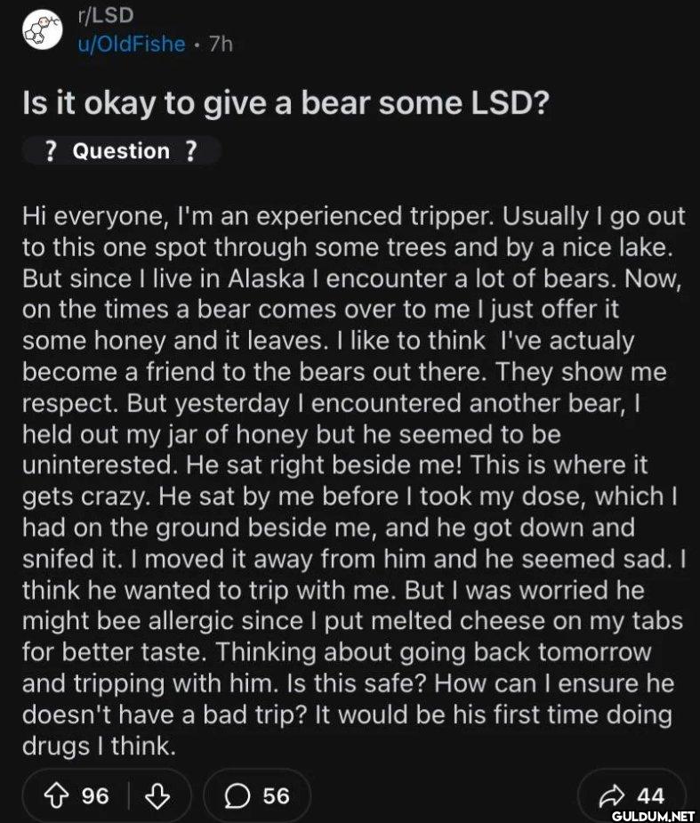 r/LSD u/OldFishe⚫ 7h Is it...
