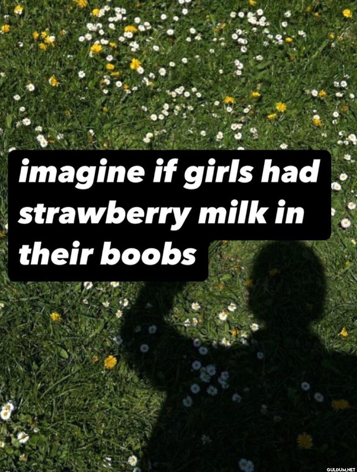 imagine if girls had...