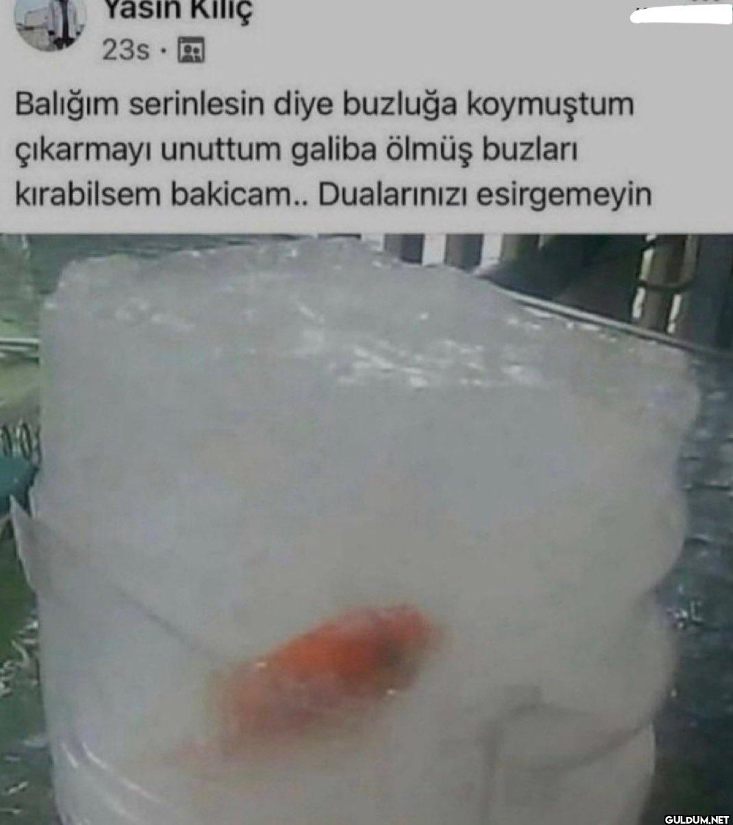 Yasin Kılıç 23s Balığım...
