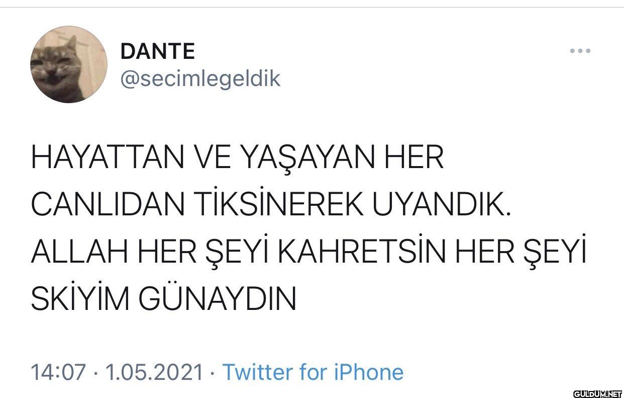 HAYATTAN VE YAŞAYAN HER...