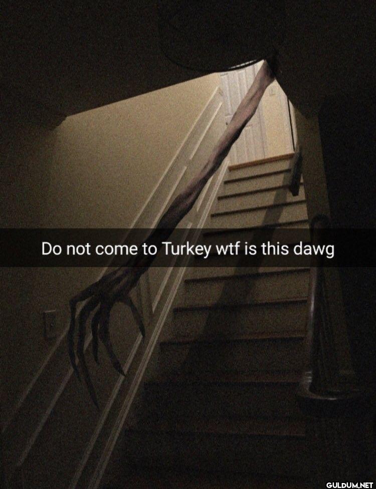 Do not come to Turkey wtf...