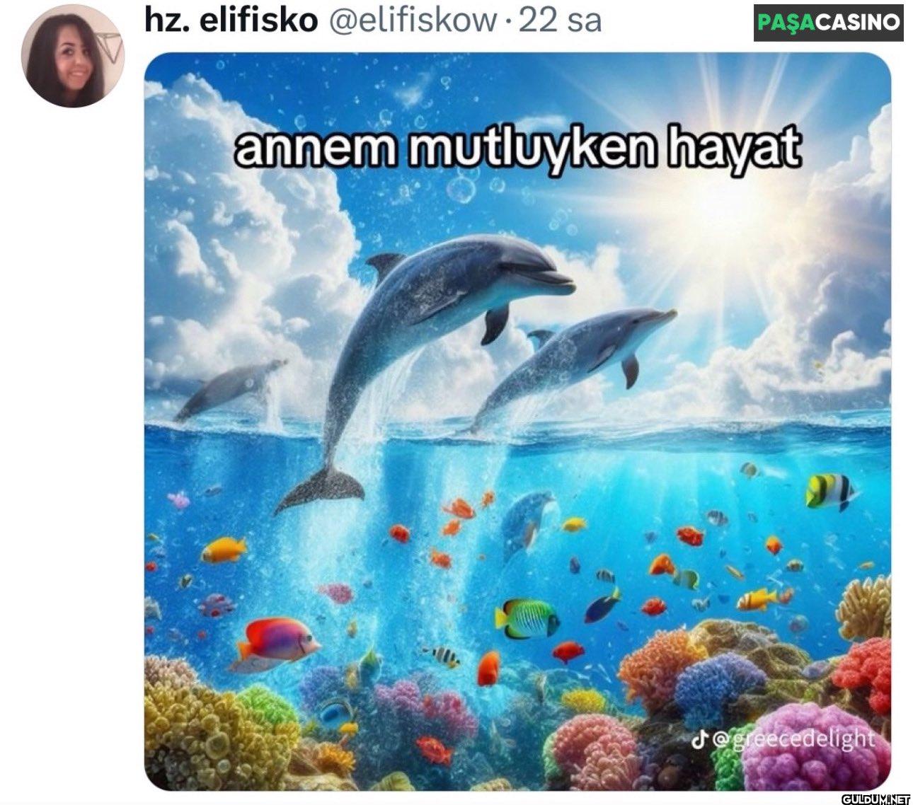 22 sa PAŞACASINO annem...
