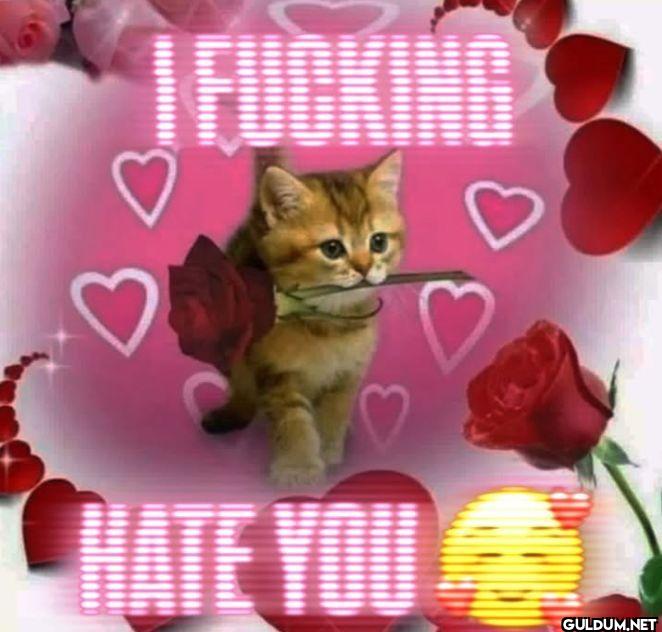 I FUCKING HATE YOU