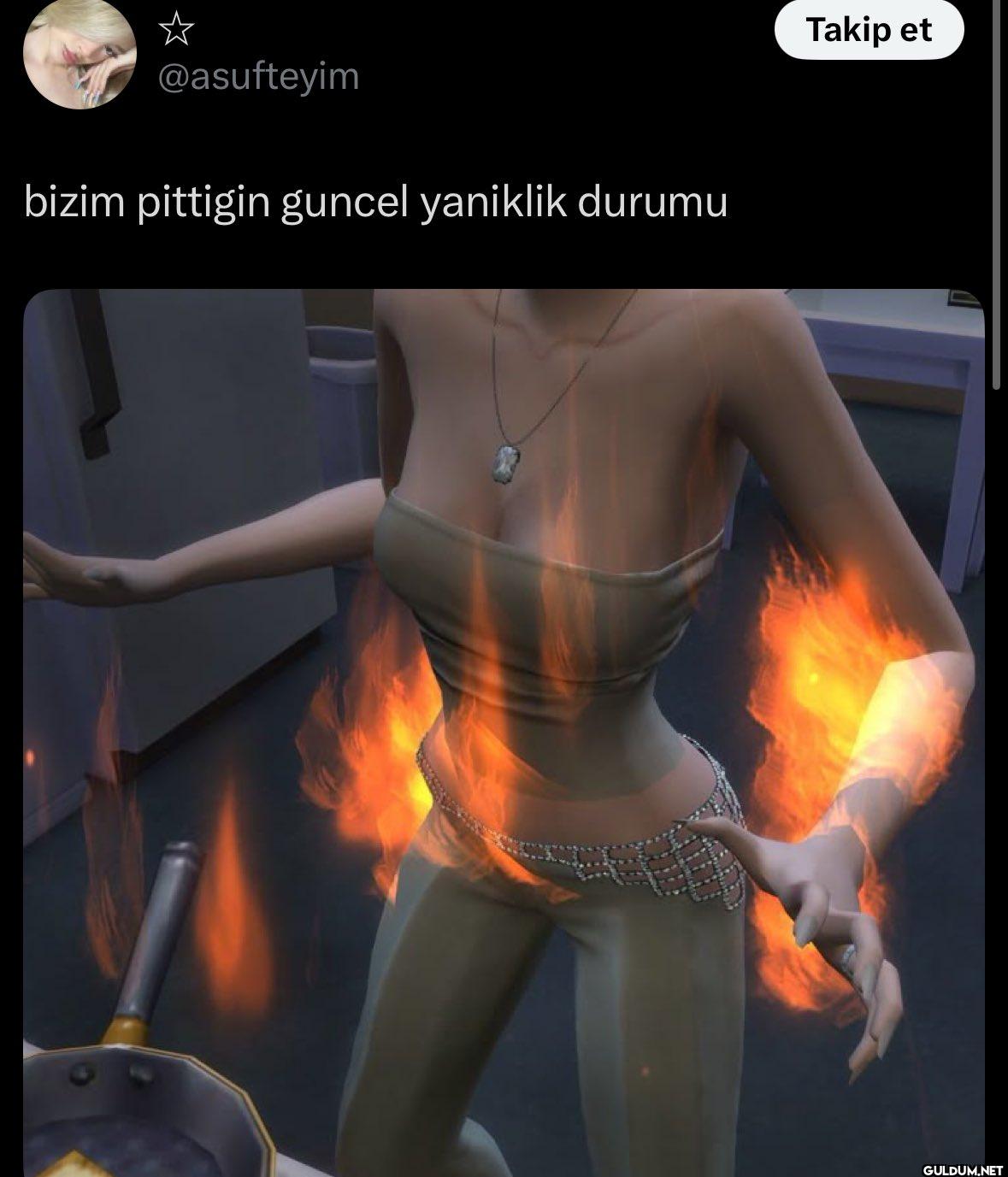 bizim pittigin guncel...