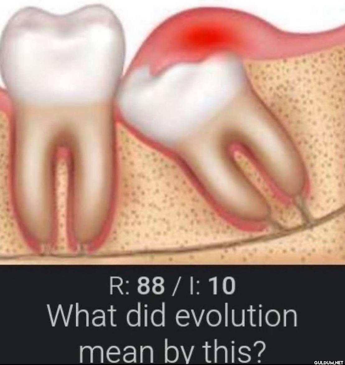 R: 88 / 1: 10 What did...
