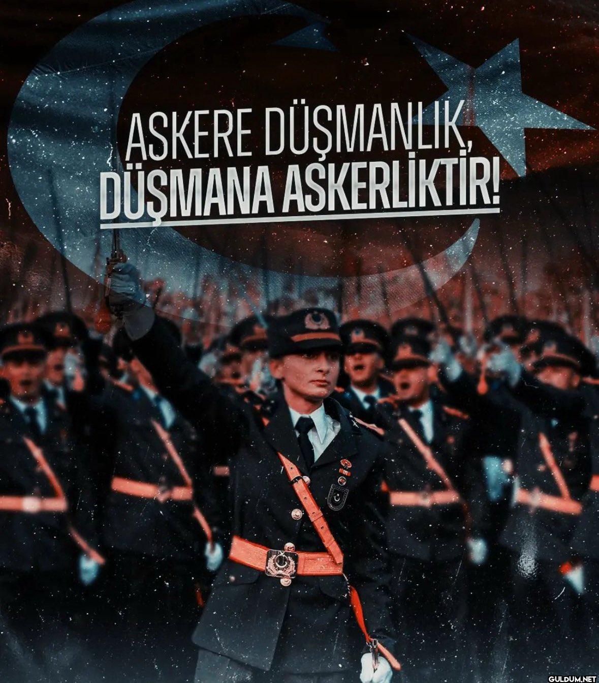 Türk Silahlı...