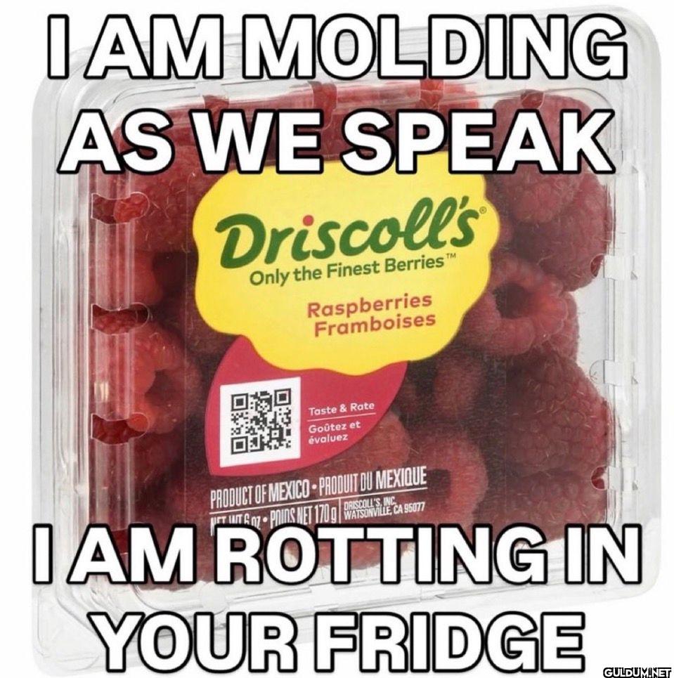 I AM MOLDING AS WE SPEAK...