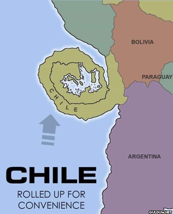 Rolled up Chile    CHIV LE...