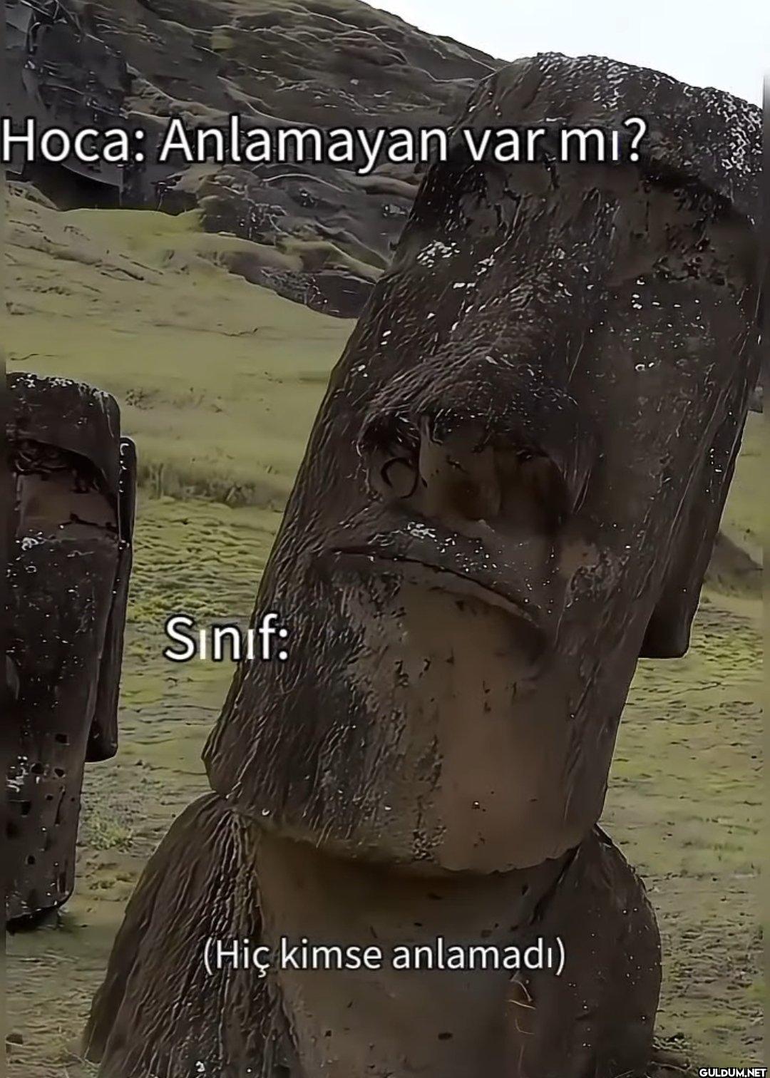 Hoca: Anlamayan var mı?...