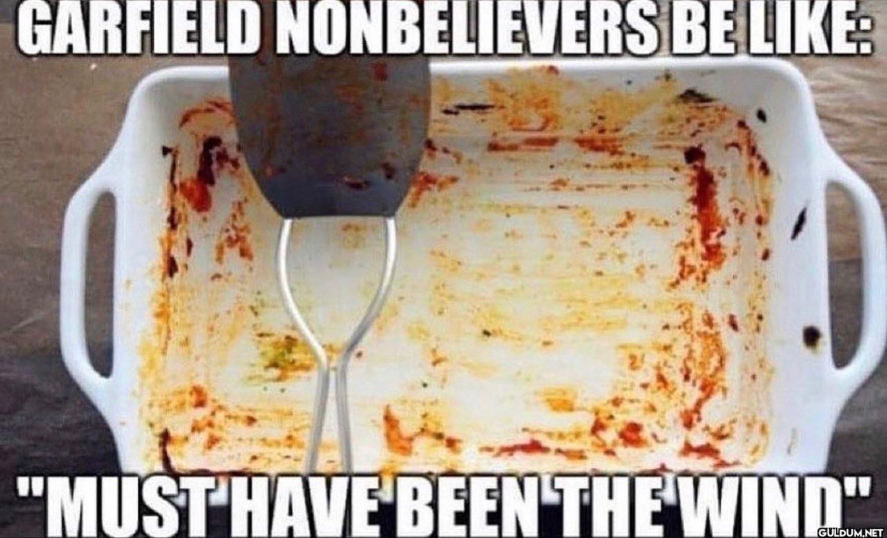 GARFIELD NONBELIEVERS BE...