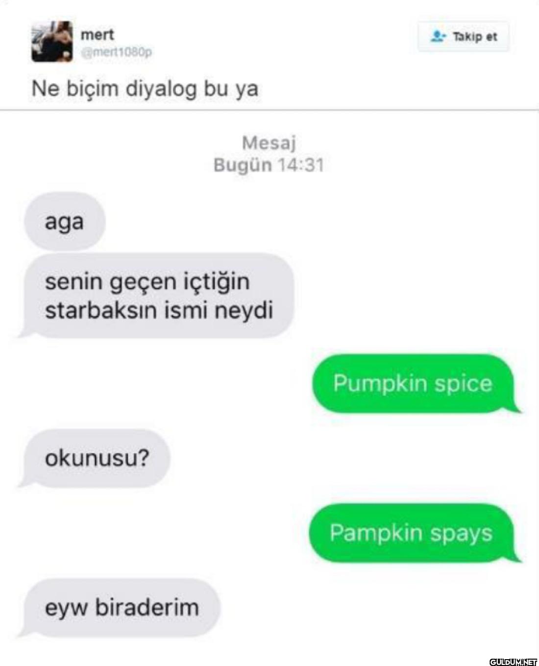 Ne biçim diyalog bu ya...