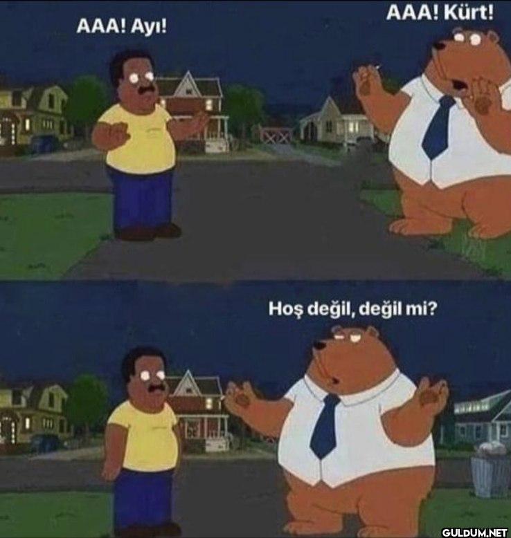 AAA! Kürt! AAA! Ayı! Hoş...