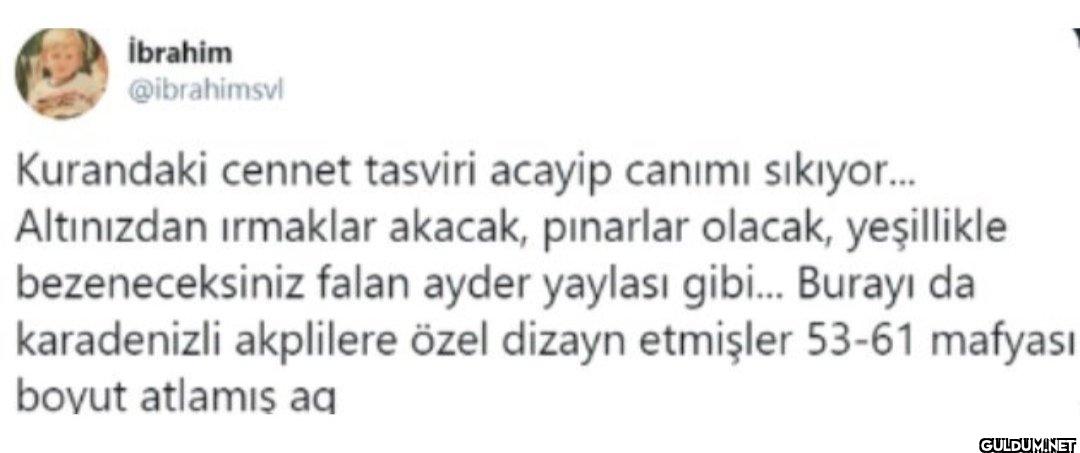 Kurandaki cennet tasviri...