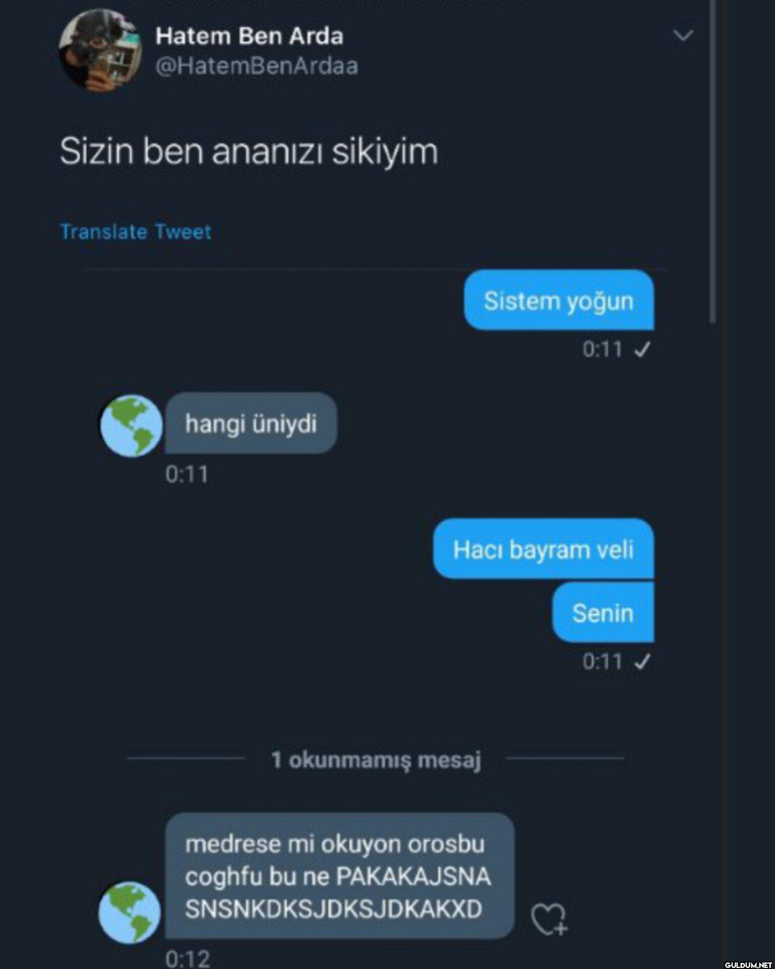 Sizin ben ananızı sikiyim...