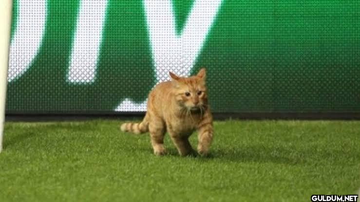 Bayern maçında da...