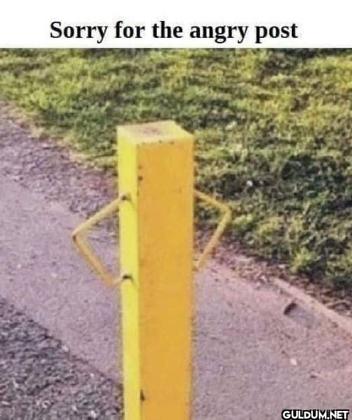 Sorry for the angry post