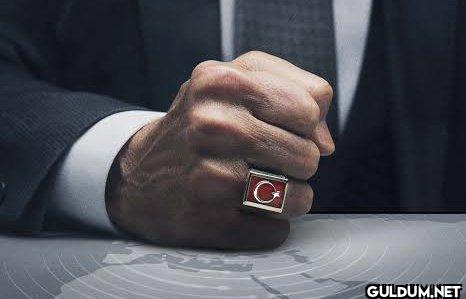 Devlet bazen dil atar.