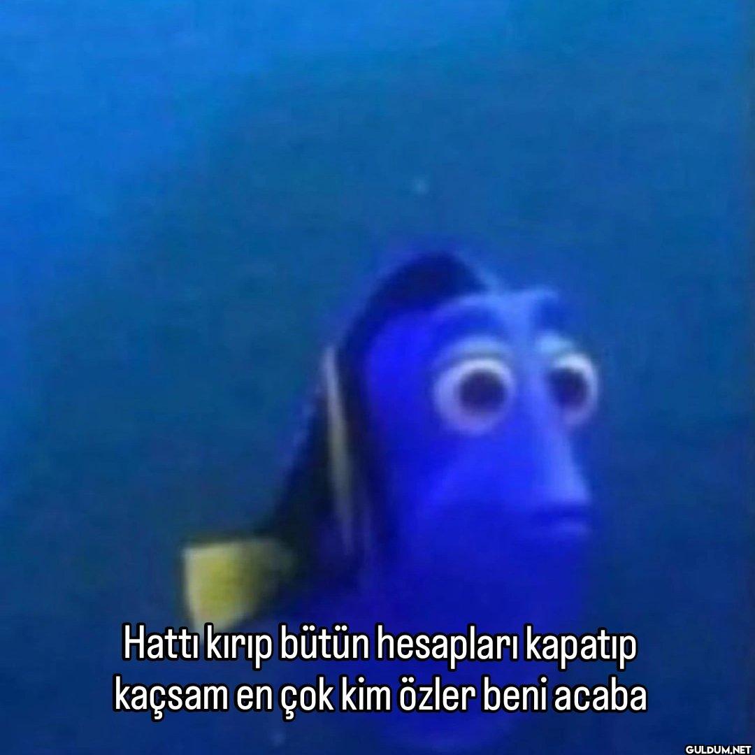 Hattı kırıp bütün...