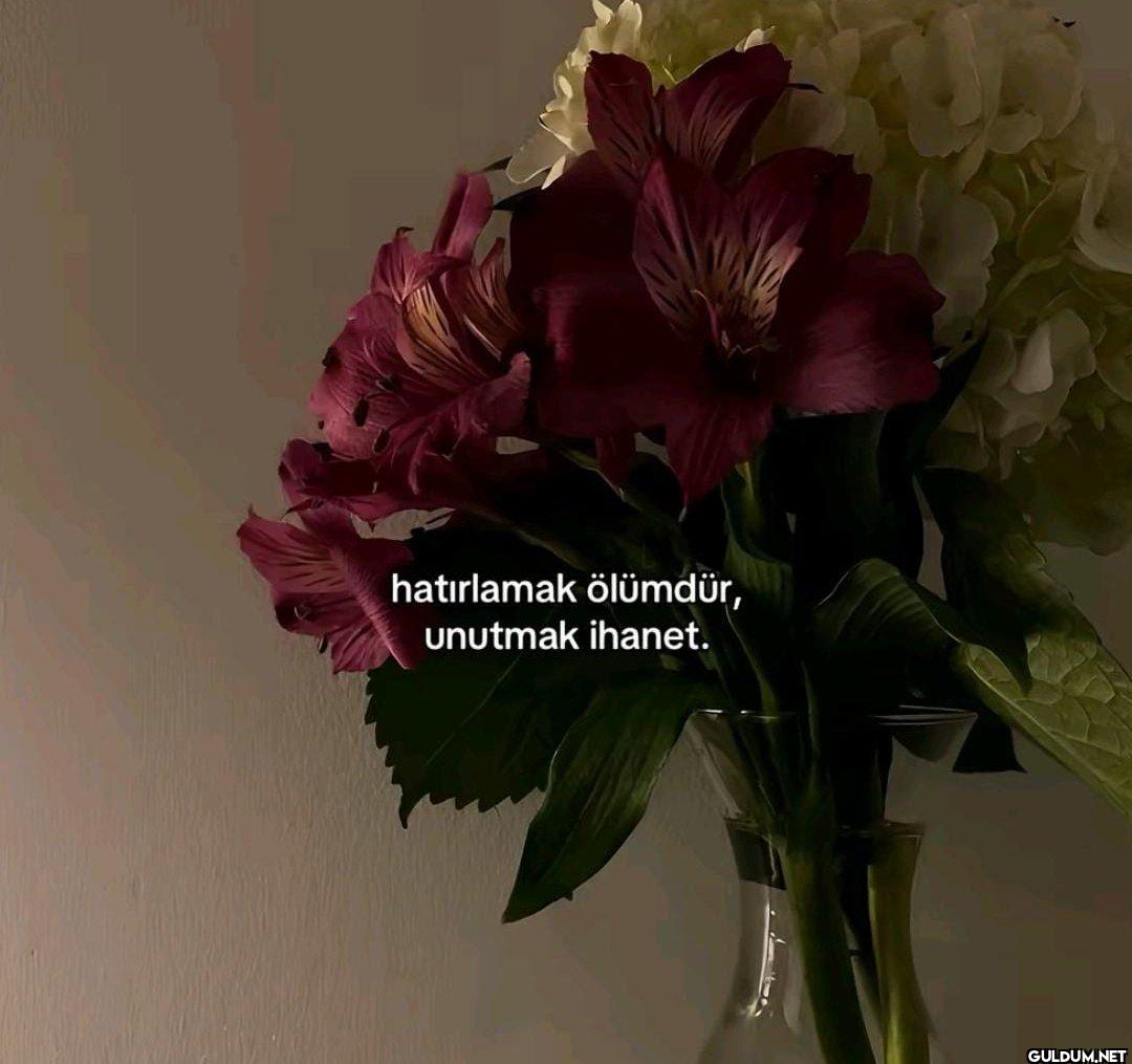 hatırlamak ölümdür, unutmak ihanet.
