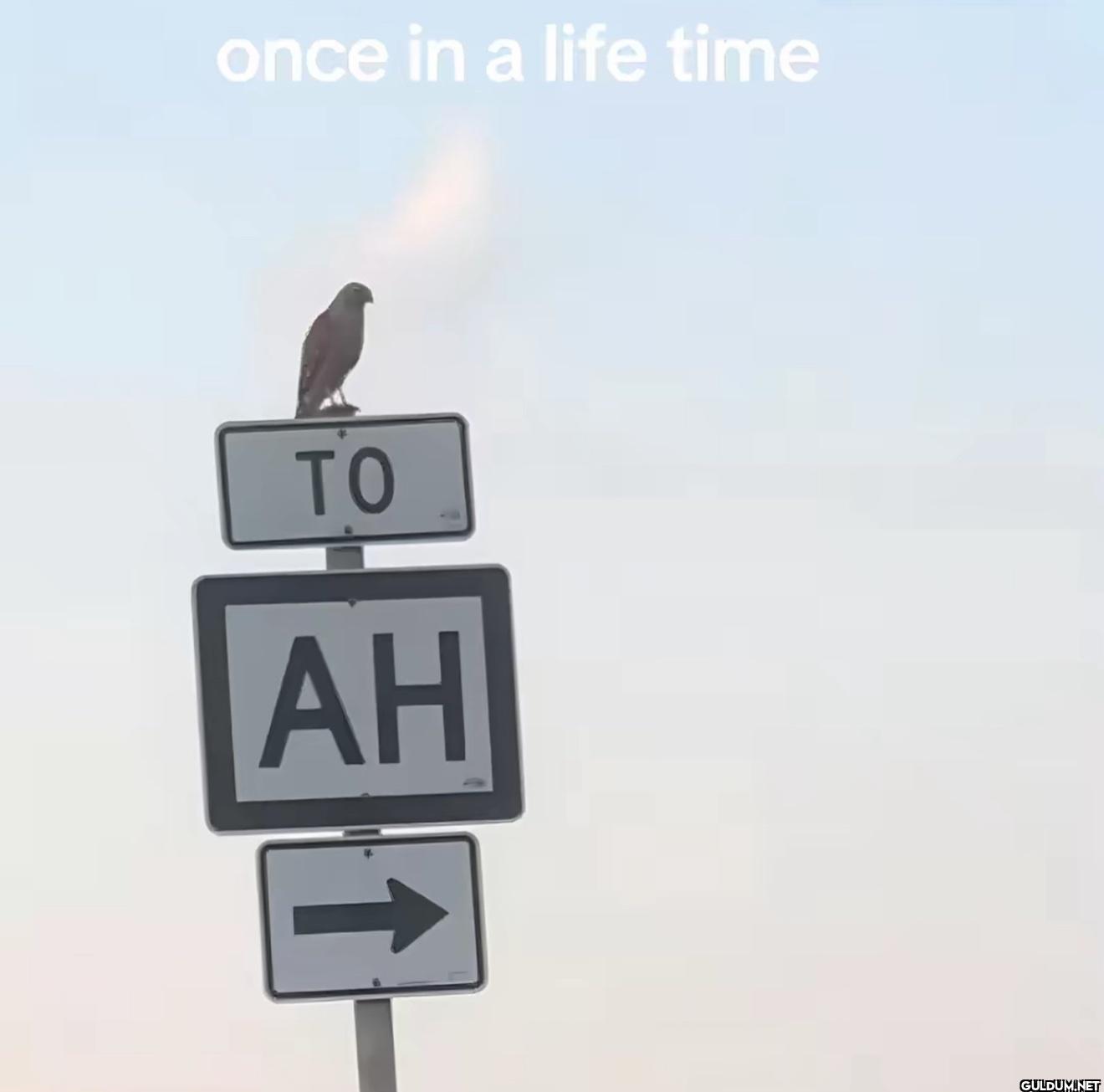 once in a life time TO AH