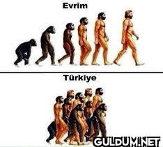 Evrim Türkiye