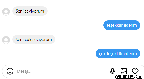 Seni seviyorum teşekkür...