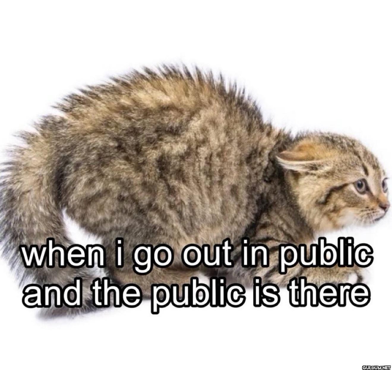 when i go out in public...