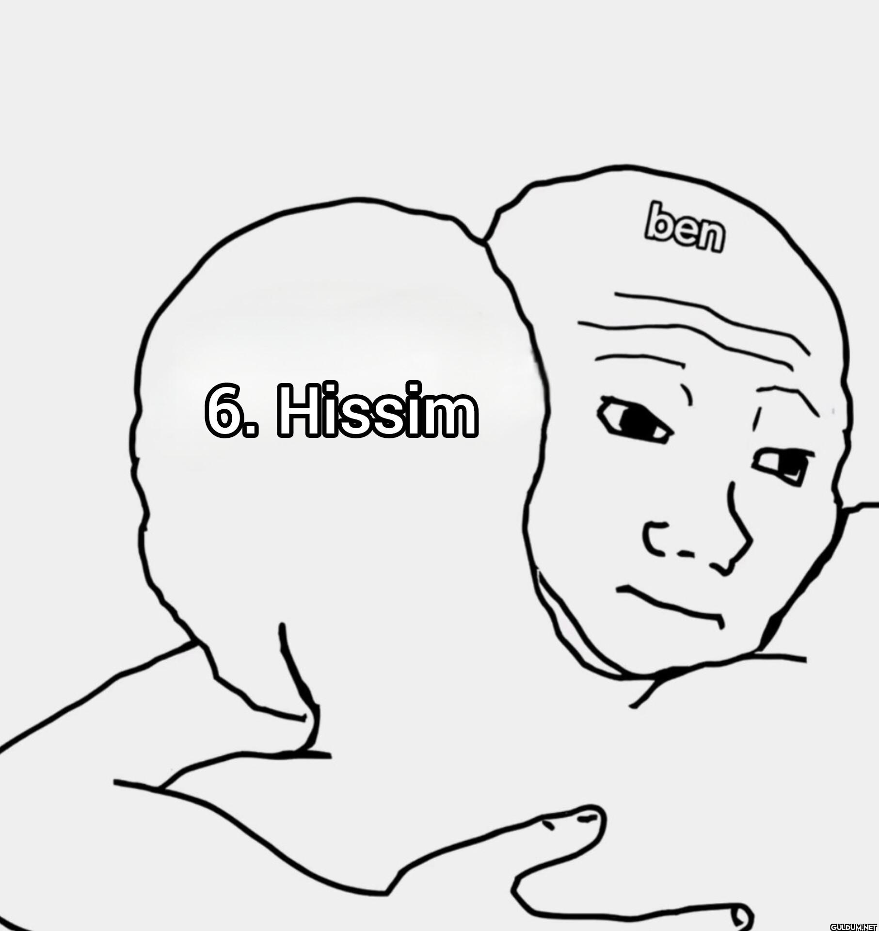 6. Hissim ben
