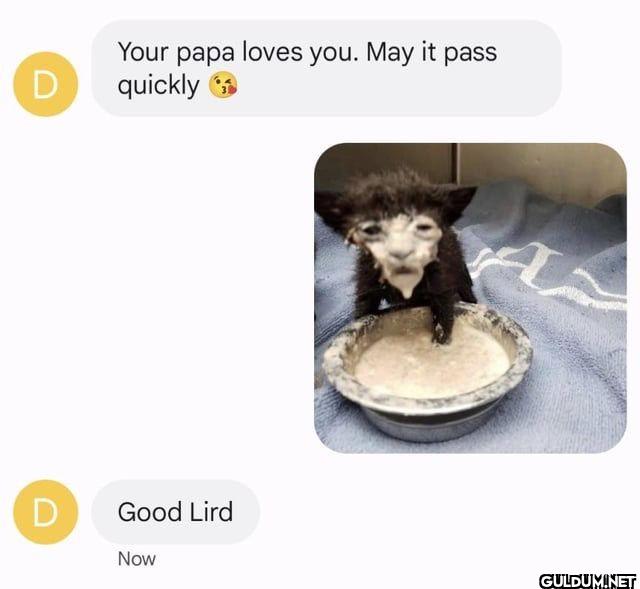 D Your papa loves you. May...