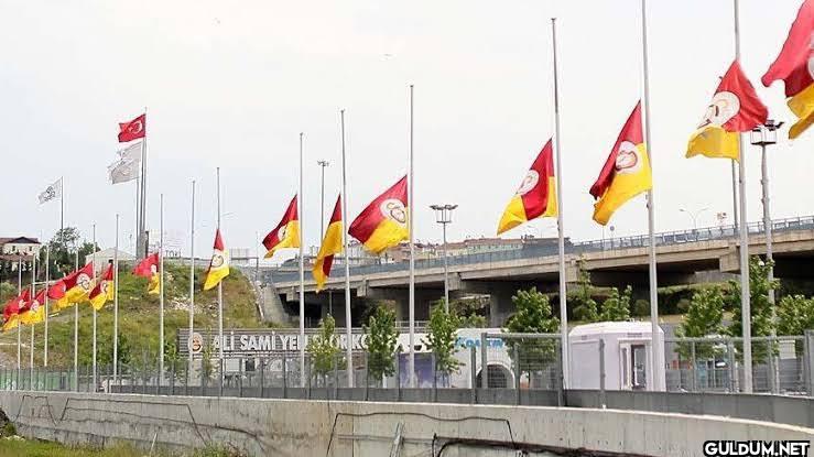 Anlık florya: GALI SAMI YESOR KO