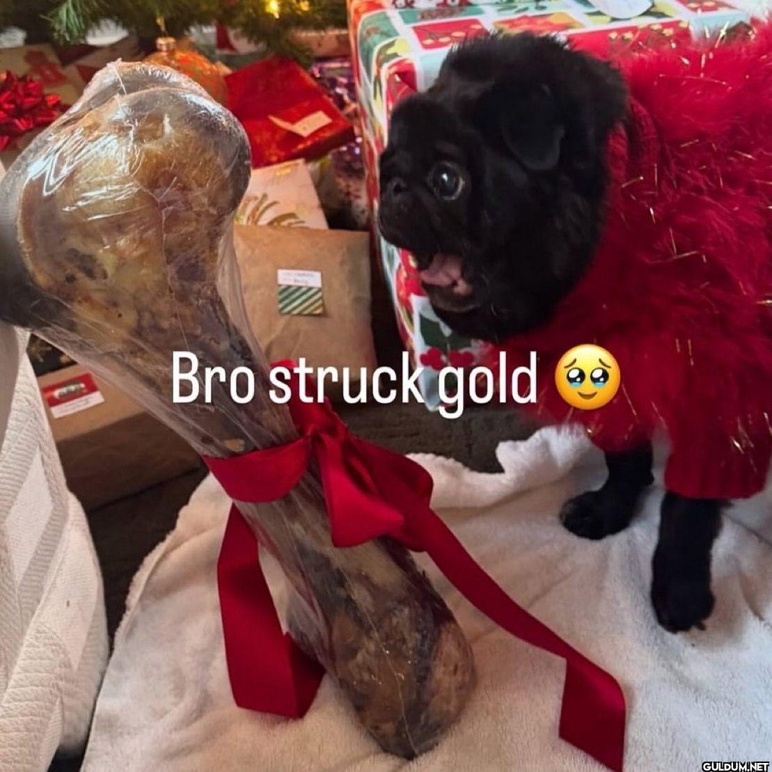Bro struck gold