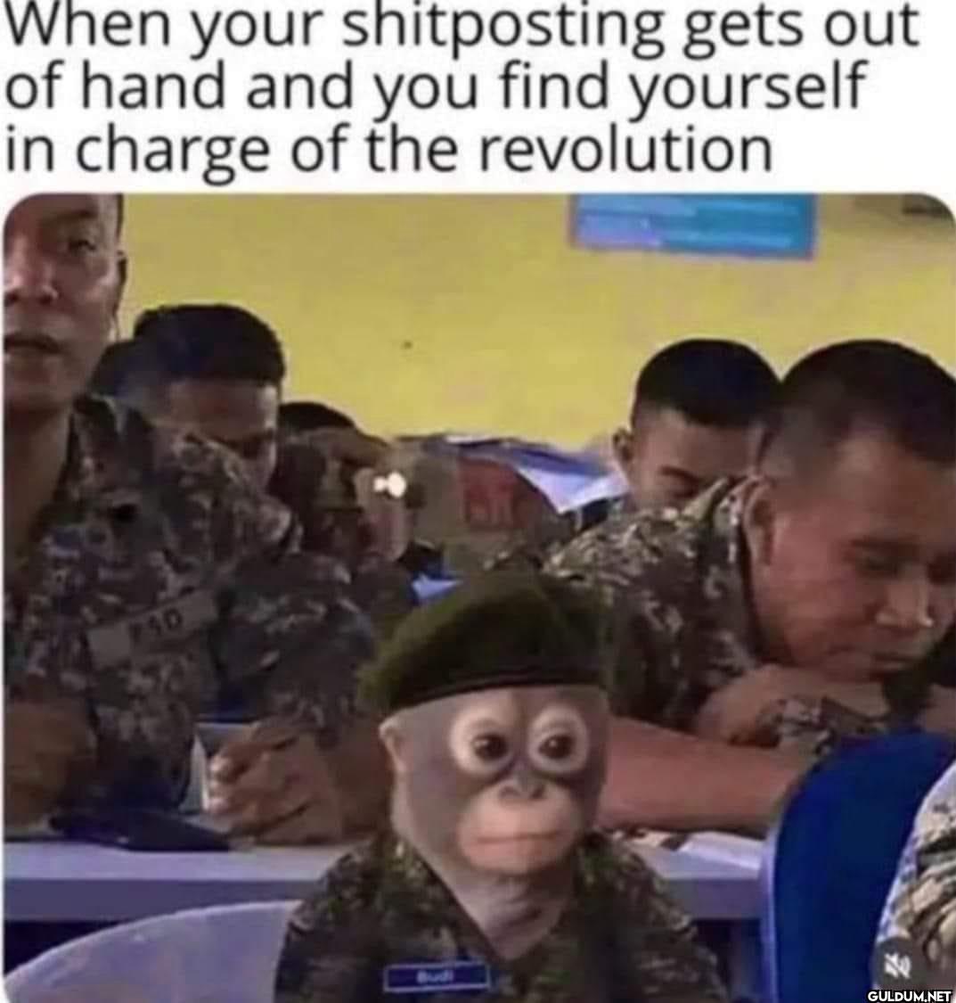 @stillgray Elon...