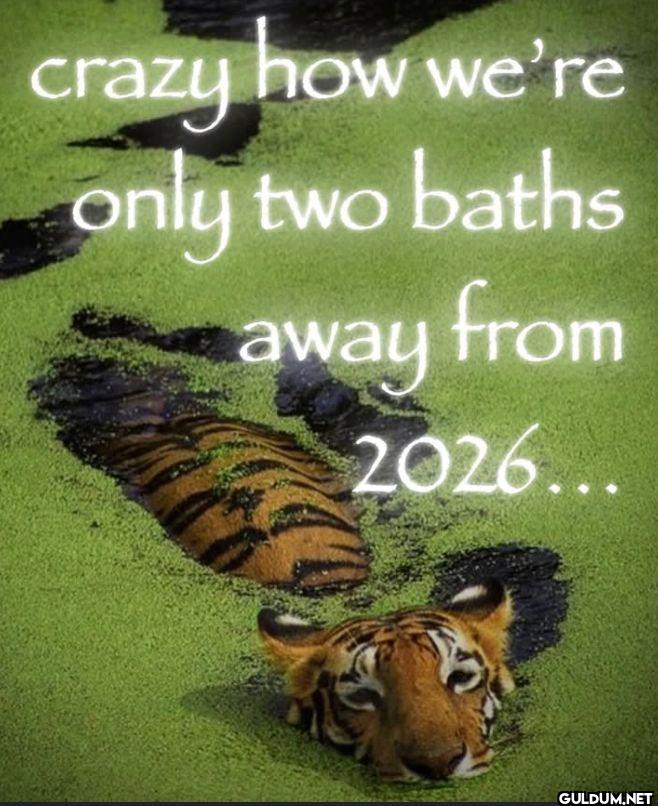 crazy how we're only two...