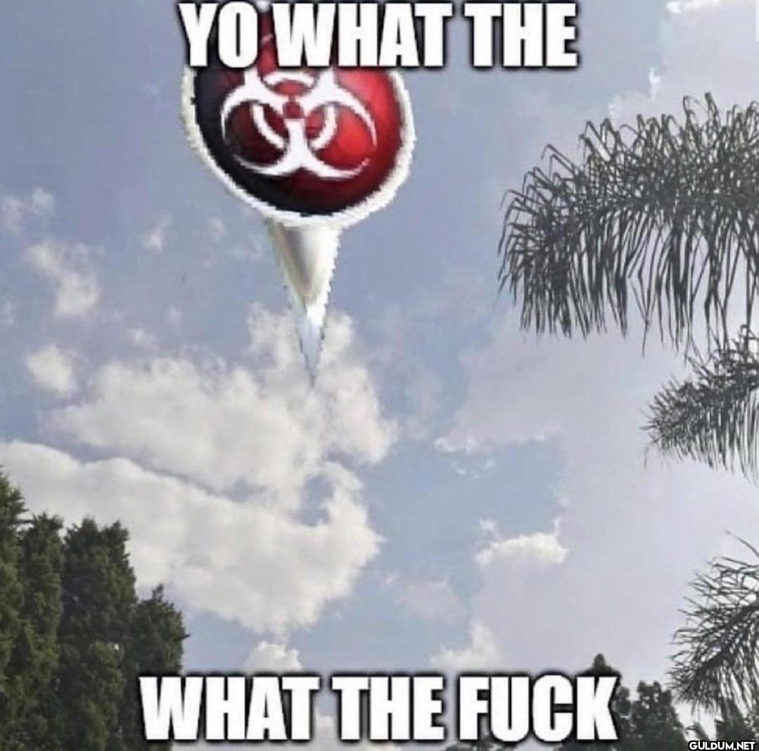 YO WHAT THE WHAT THE FUCK