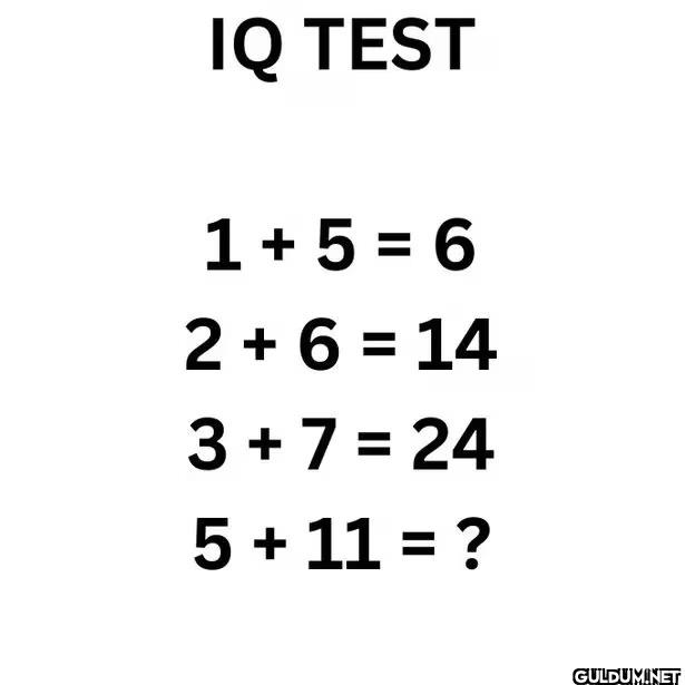 🤔    IQ TEST 1+5 = 6...