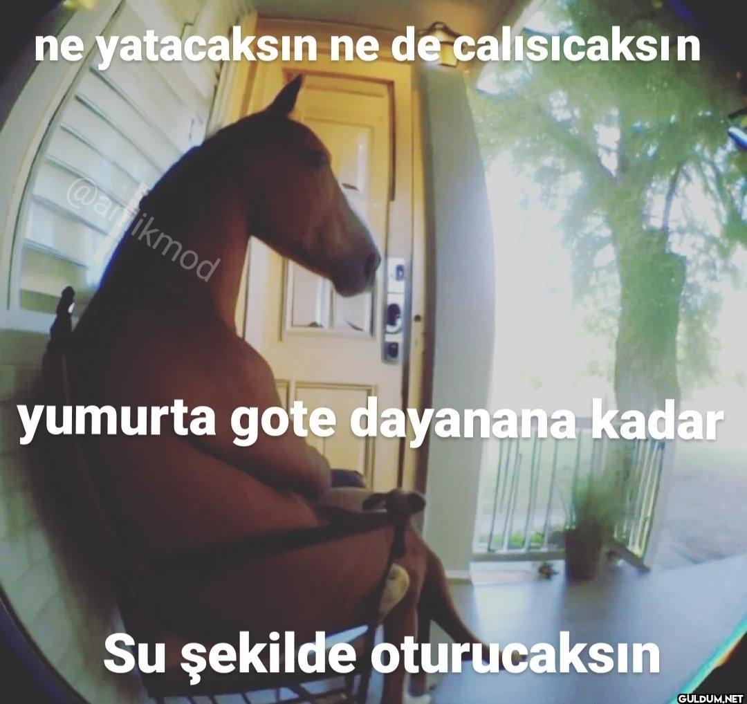 ne yatacaksın ne de...