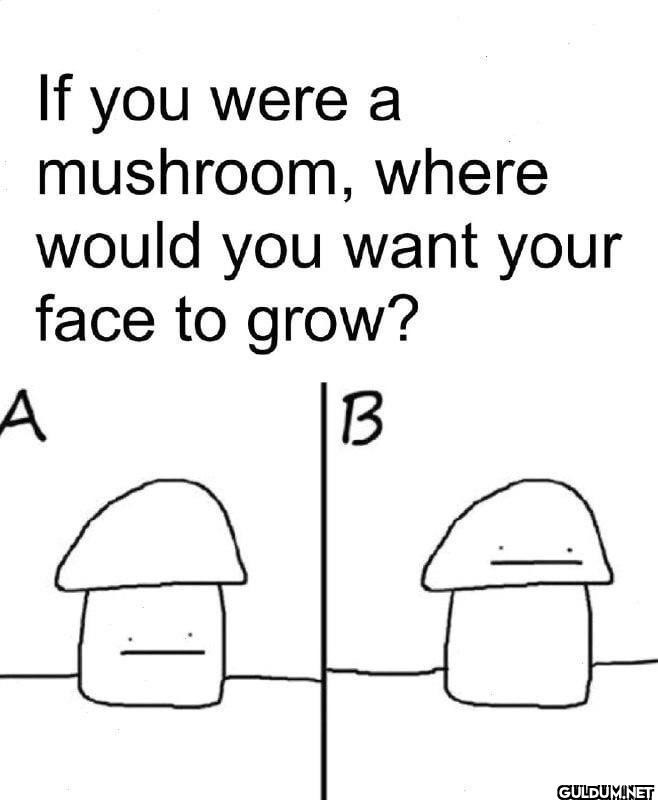 I think A    A If you were...