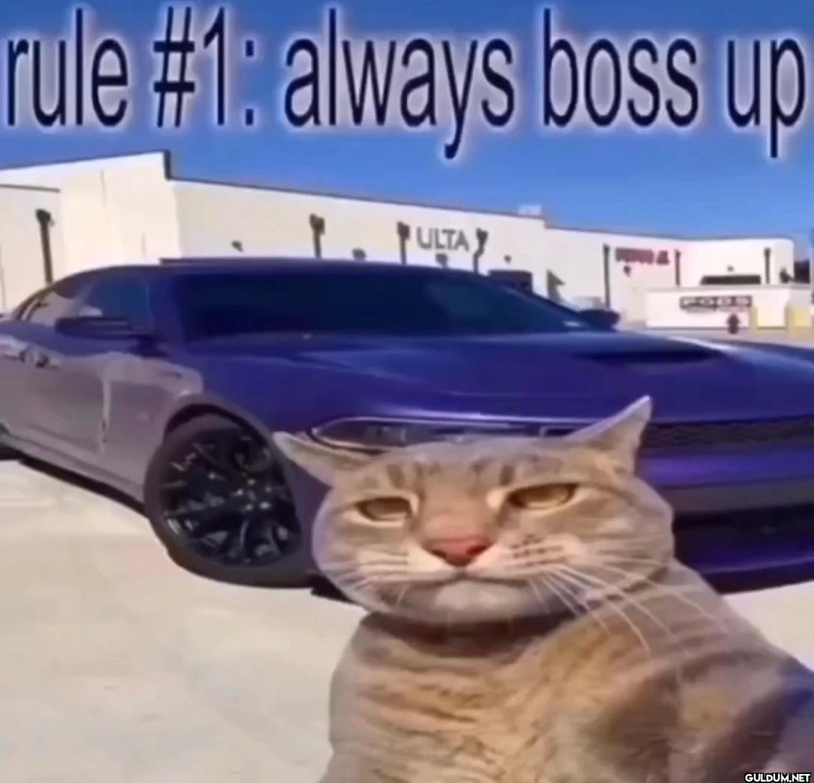 rule #1 always boss up