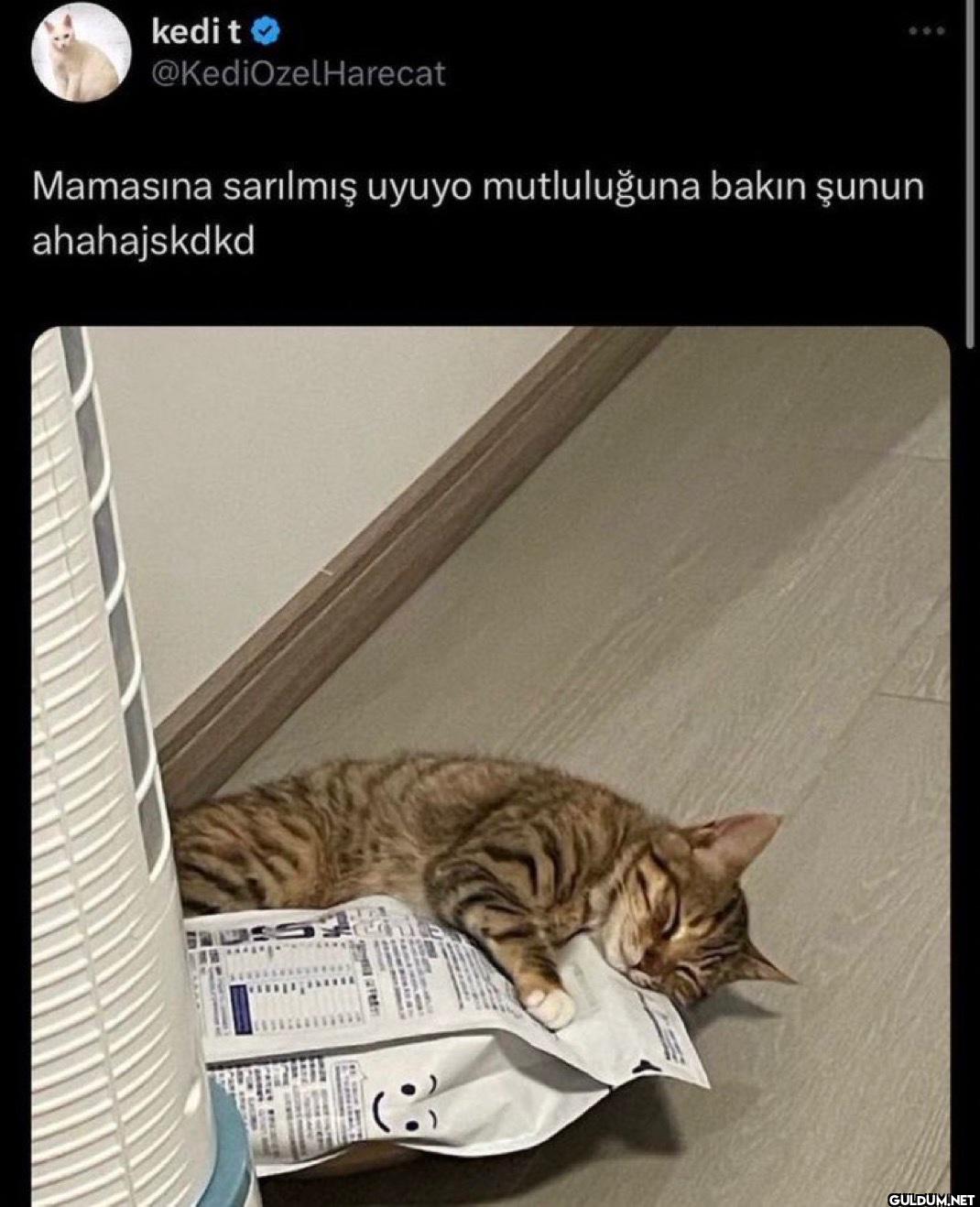 Mamasına sarılmış uyuyo...