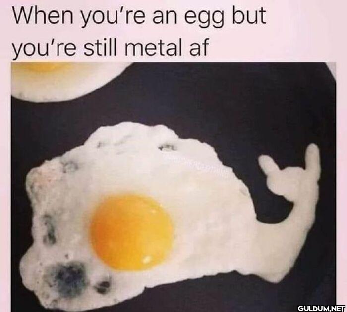HeII Yeah    When you're...