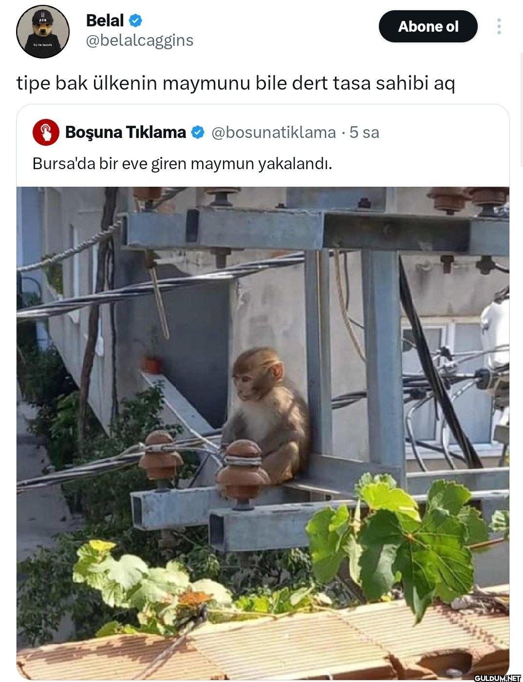 Abone ol tipe bak ülkenin...