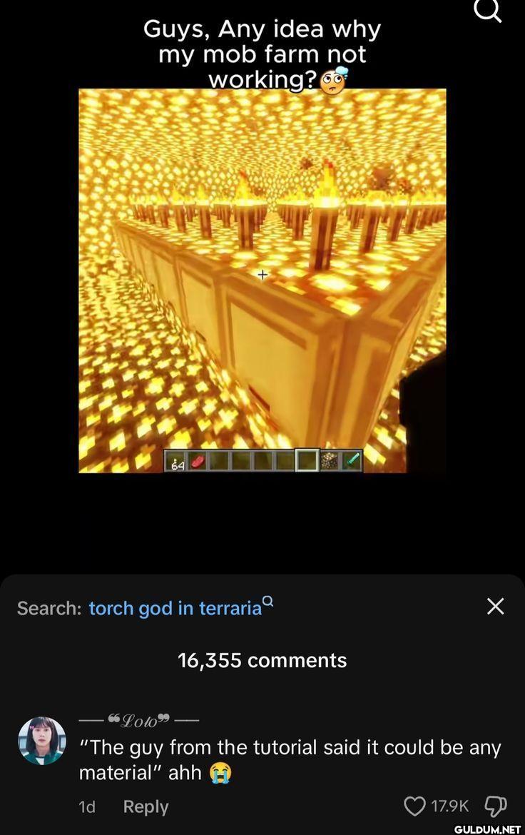 Guys, Any idea why my mob...