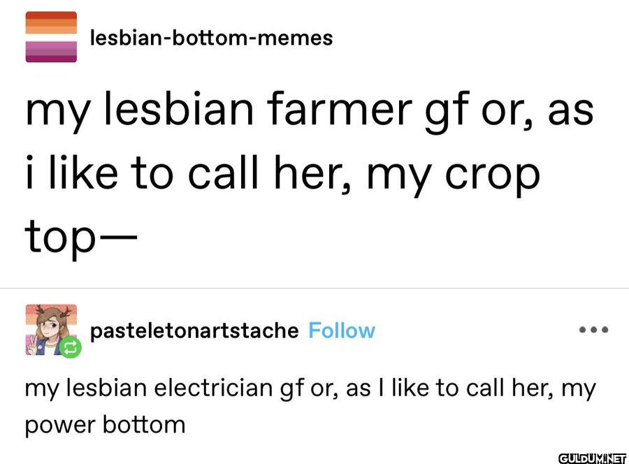 lesbian-bottom-memes my...