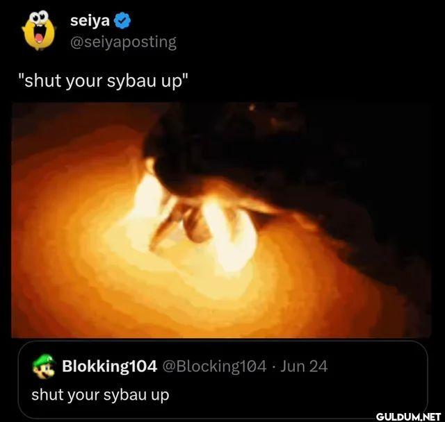 shut your sybau up...
